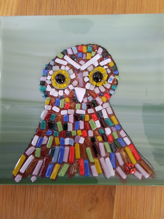 Multicolored Owl Dish