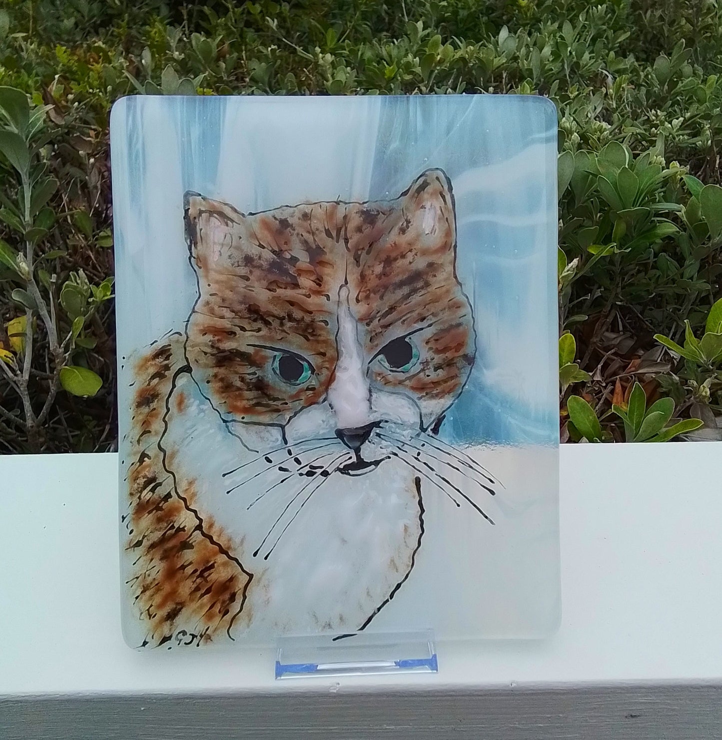 Coffee Cat Portrait