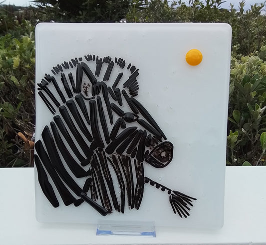 Zebra (turning to the sun)