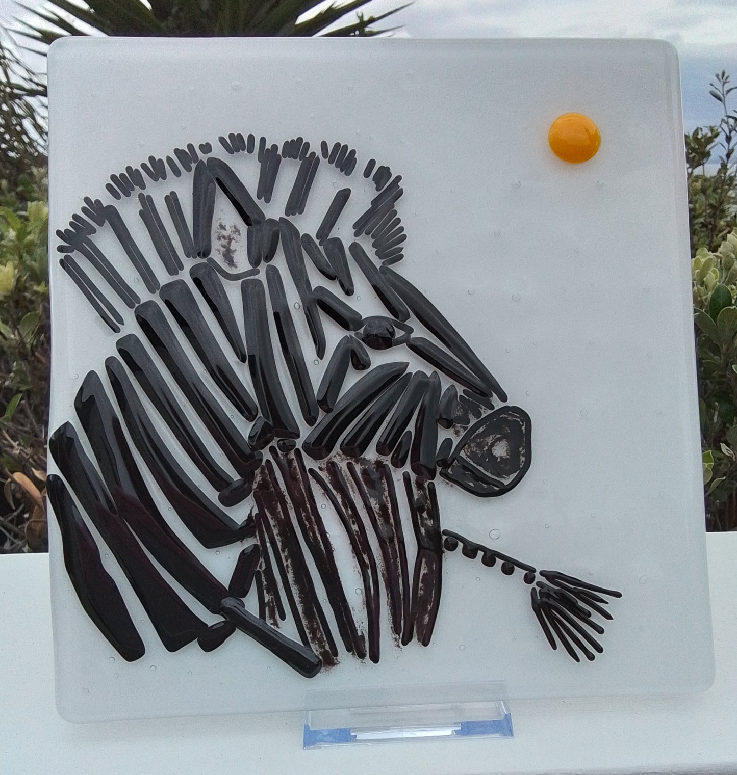 Zebra (turning to the sun)