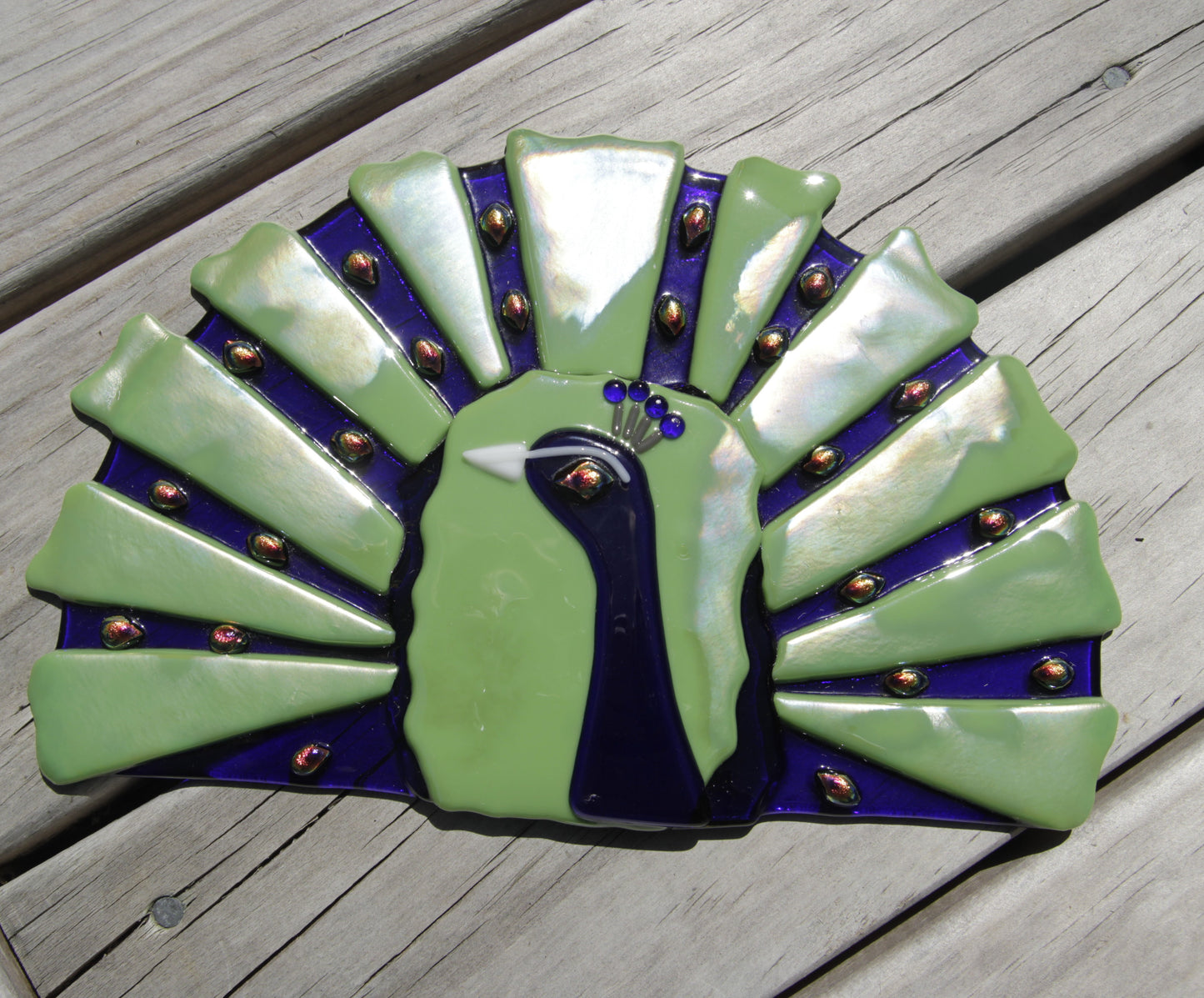 Peacock Display Art