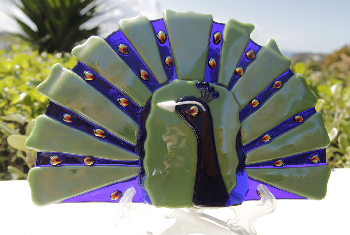 Peacock Display Art