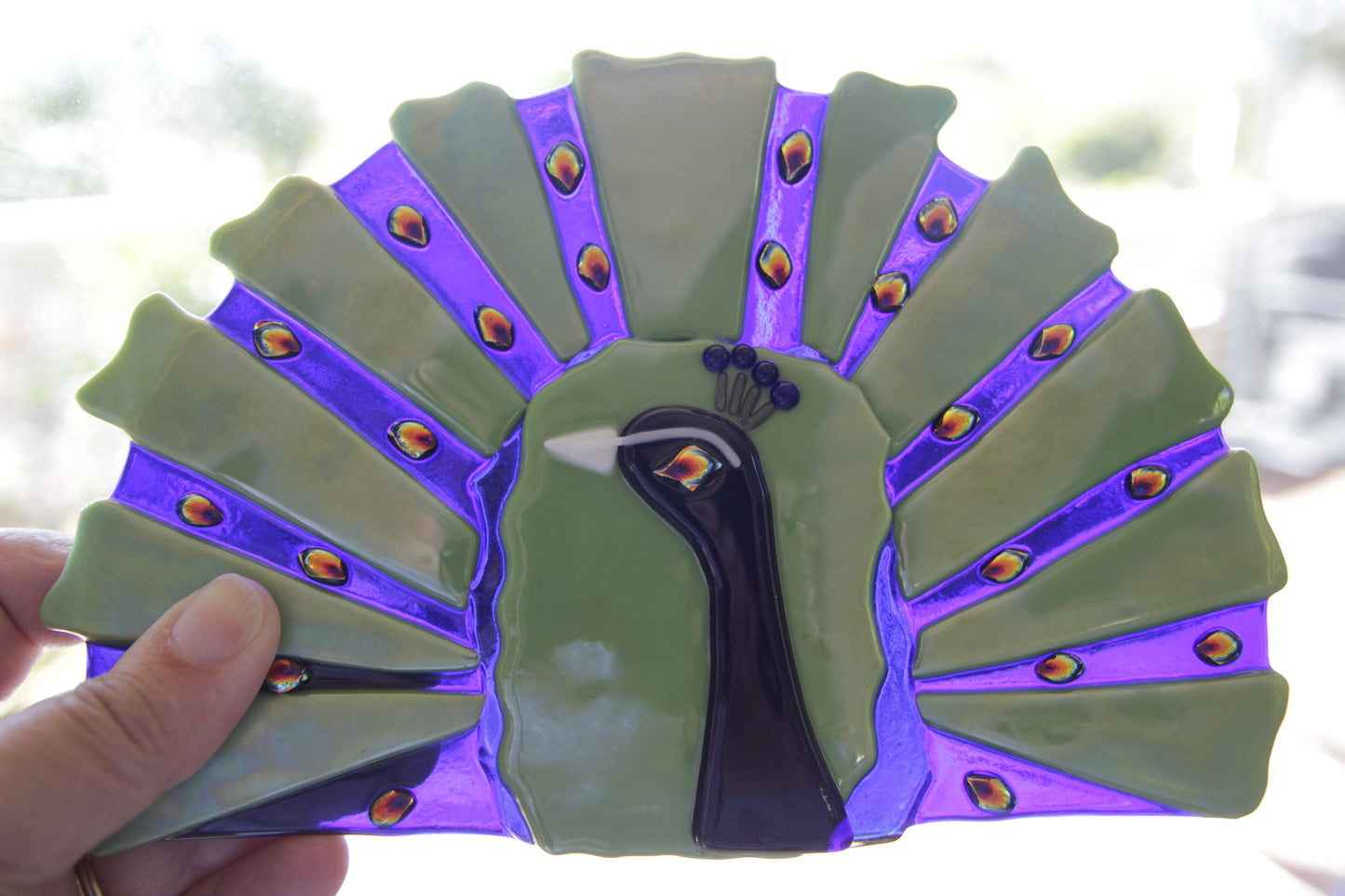 Peacock Display Art