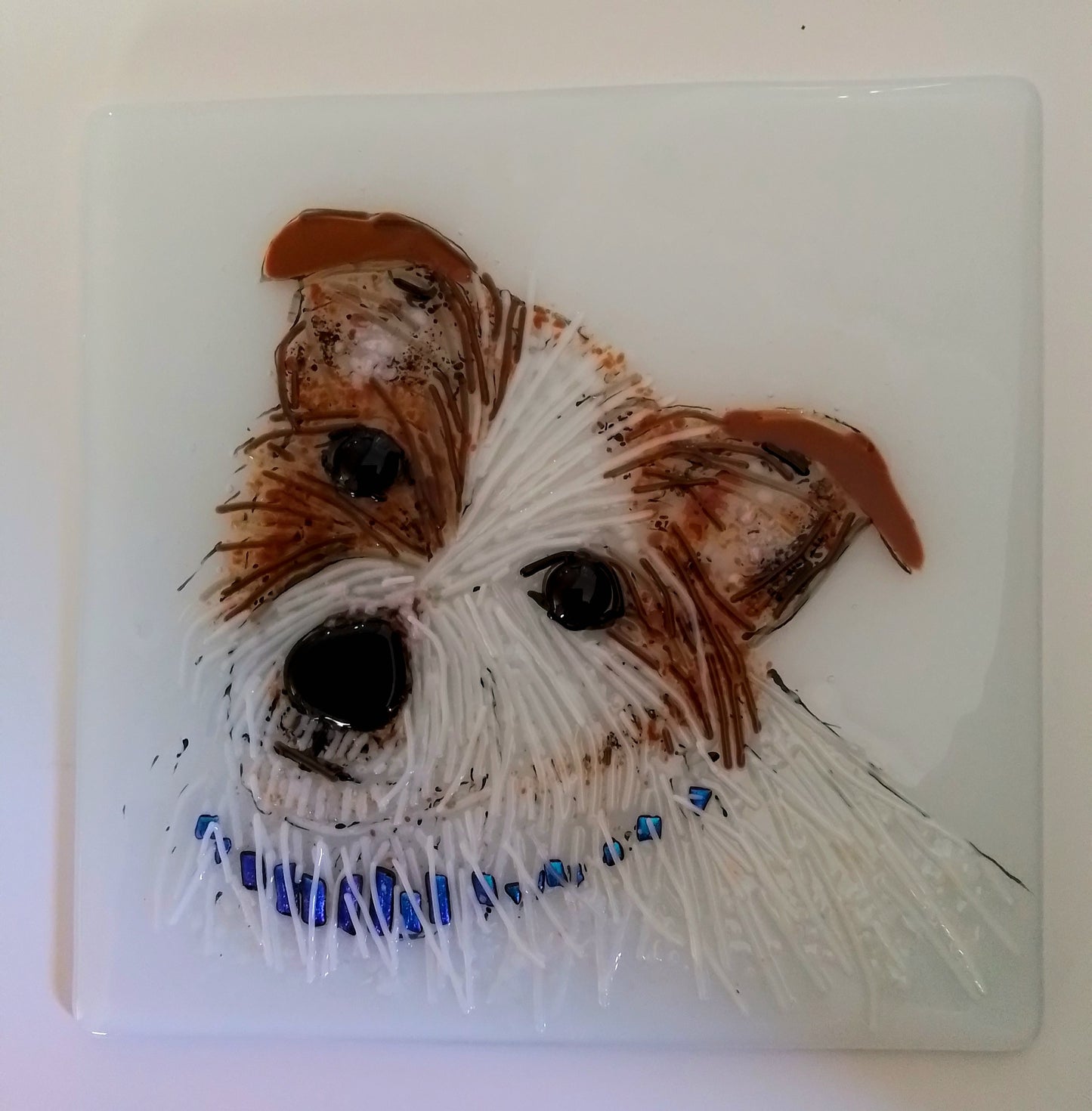 Jack Russell Terrier Portrait