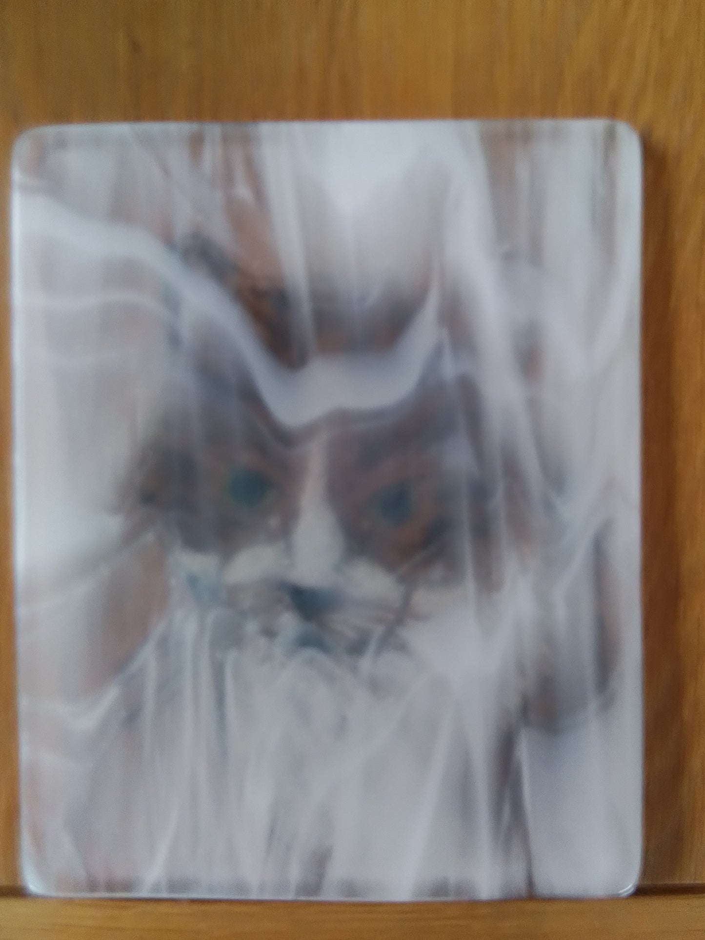 Coffee Cat Portrait