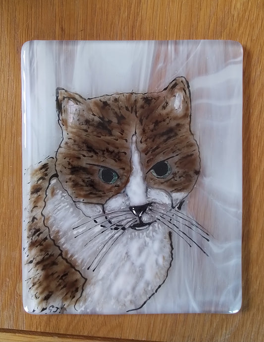 Coffee Cat Portrait