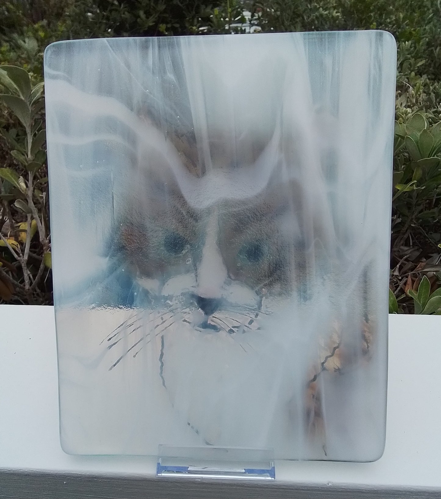 Coffee Cat Portrait