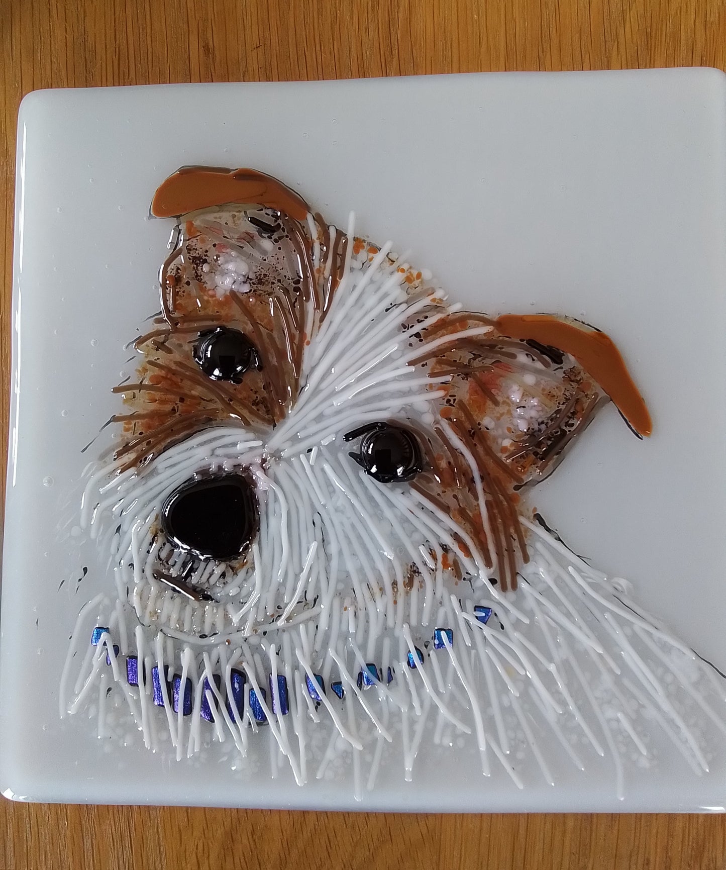 Jack Russell Terrier Portrait