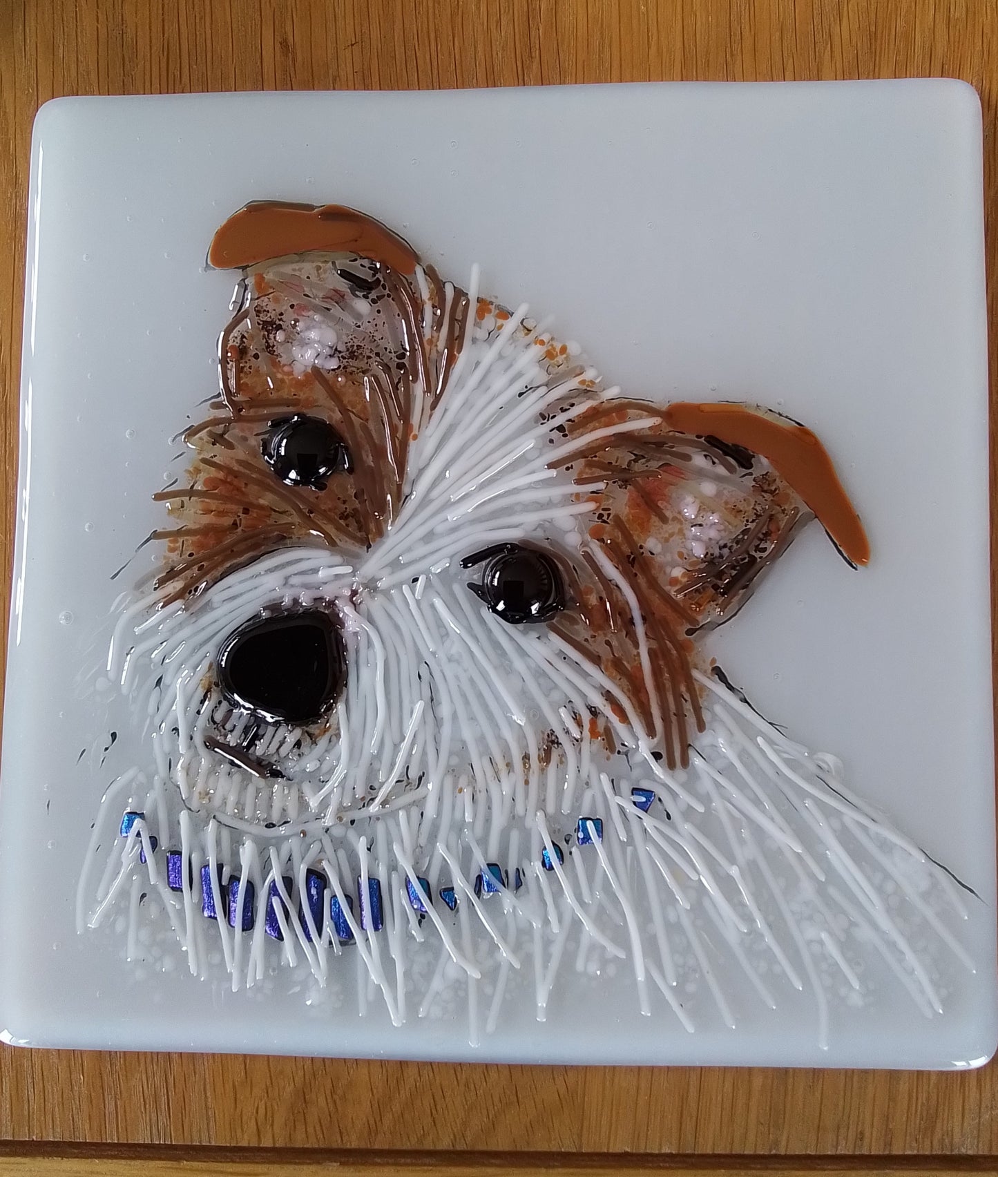 Jack Russell Terrier Portrait