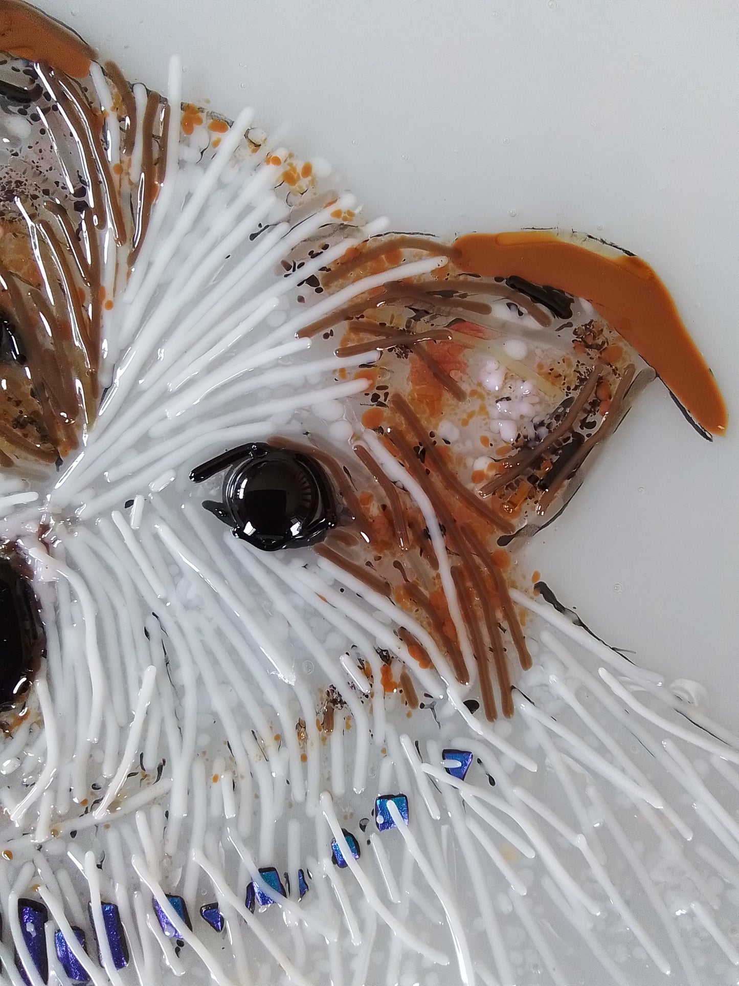 Jack Russell Terrier Portrait