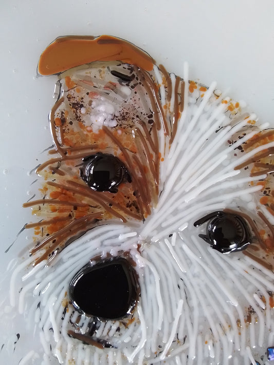 Jack Russell Terrier Portrait