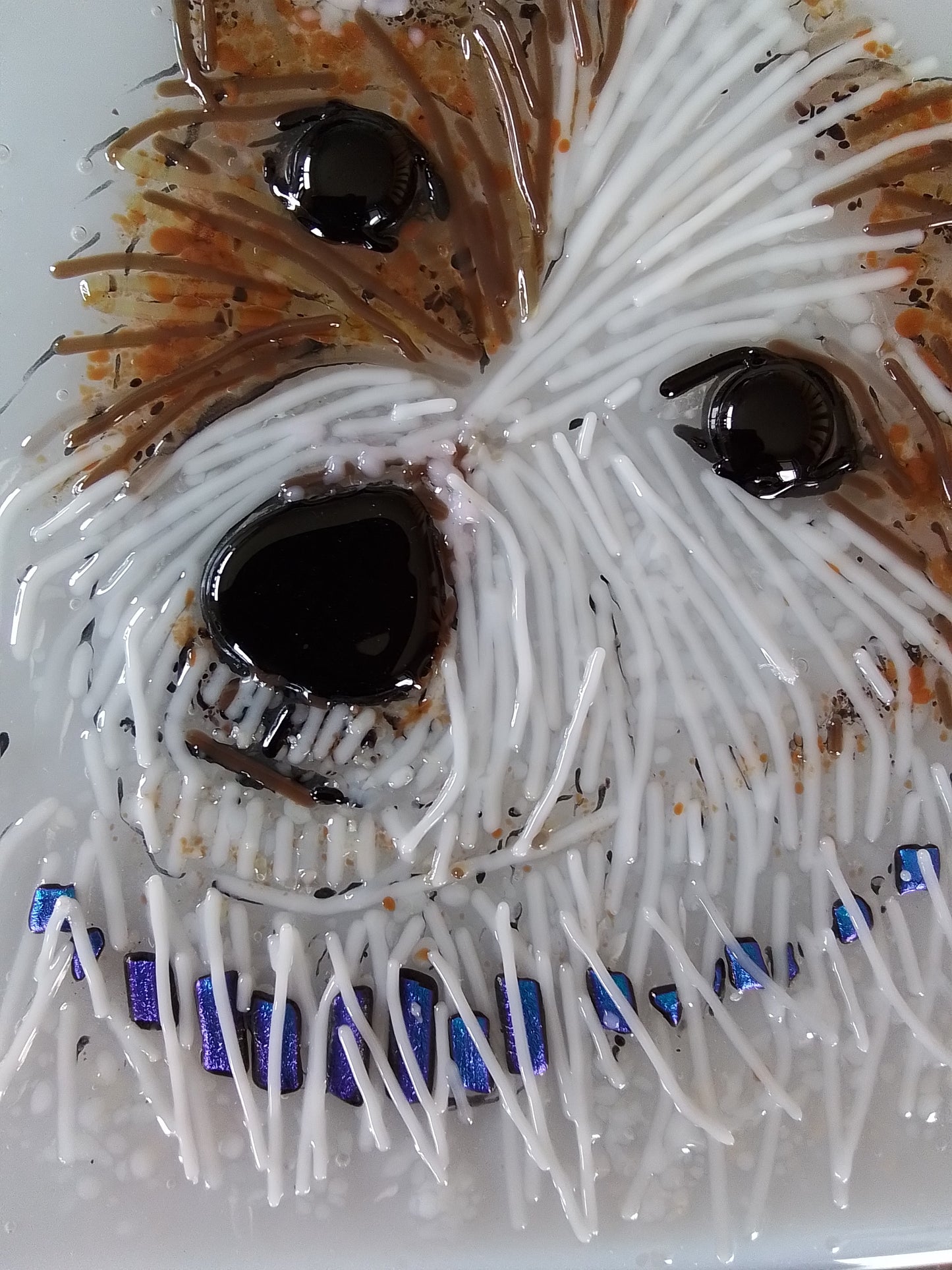 Jack Russell Terrier Portrait