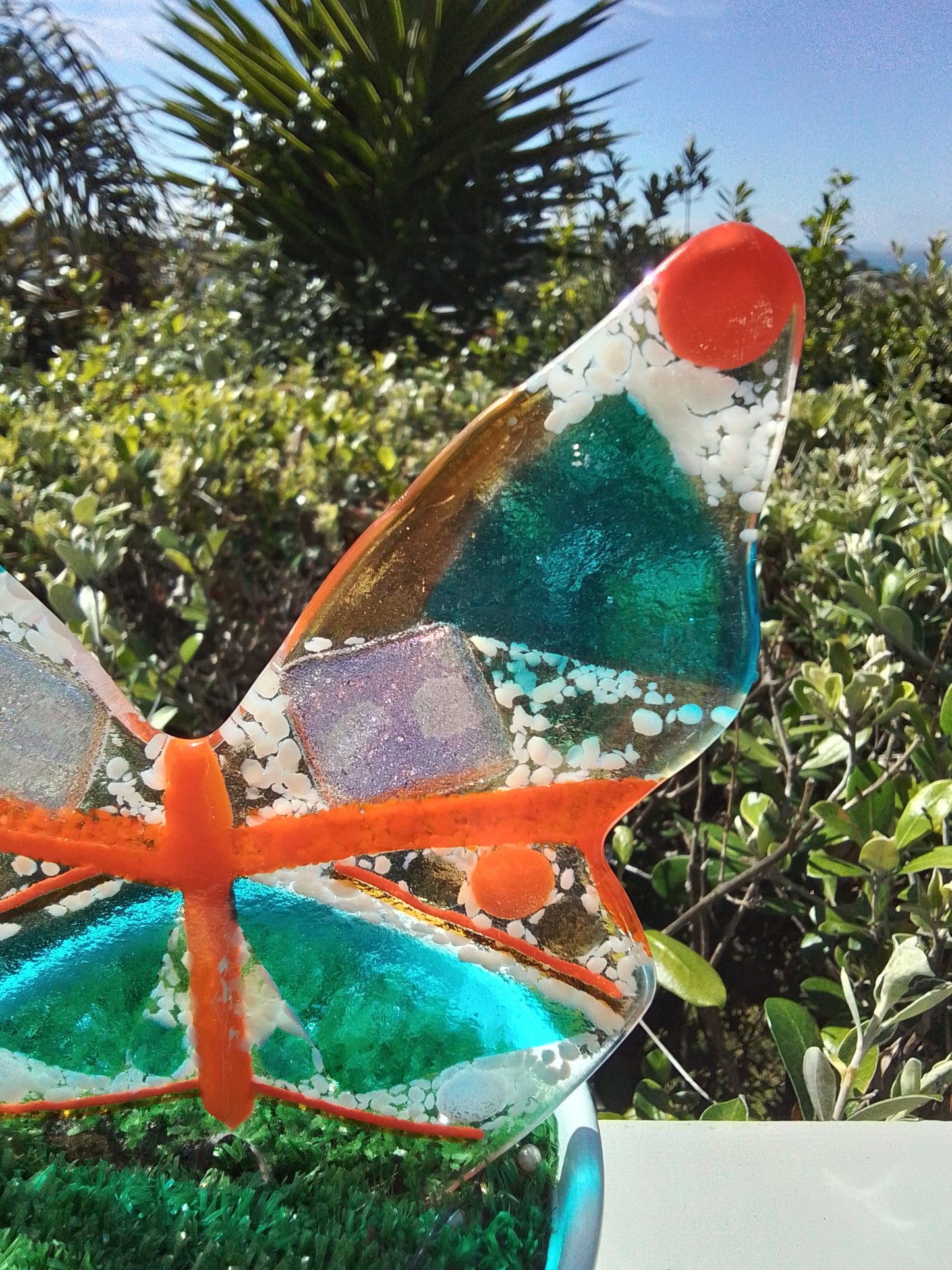 Garden Butterfly