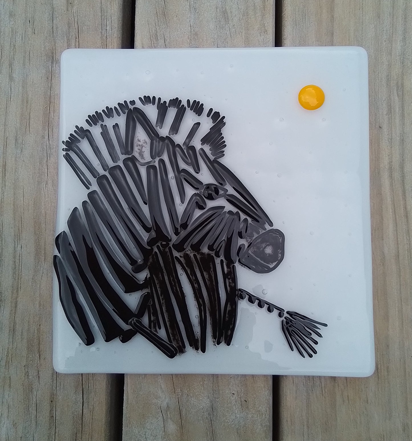 Zebra (turning to the sun)