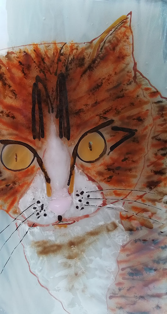 Marmalade Cat