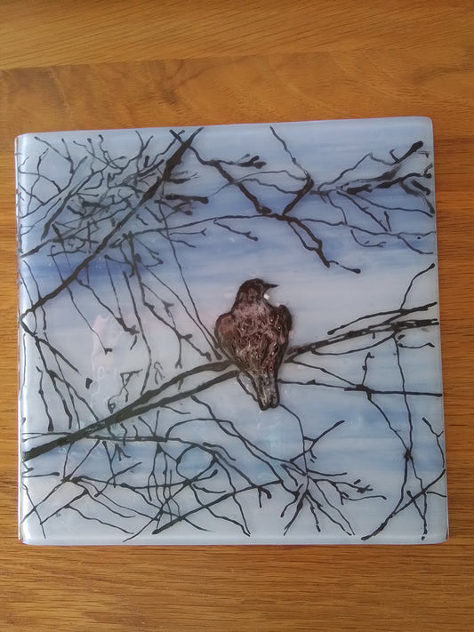 Evening Tui. Fused Glass Panel