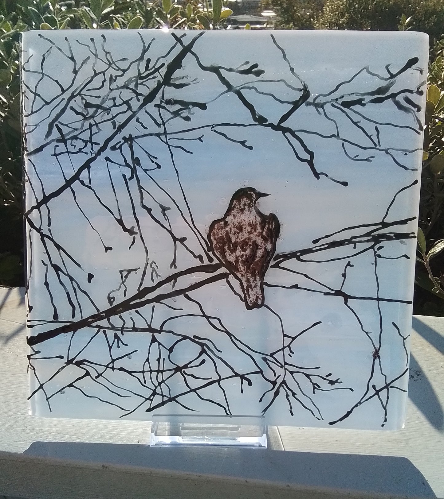 Evening Tui. Fused Glass Panel